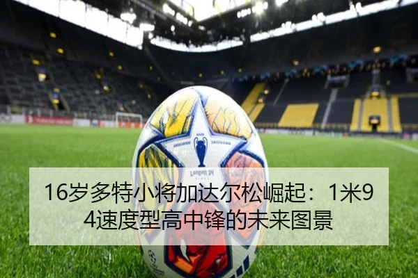 16岁多特小将加达尔松崛起：1米94速度型高中锋的未来图景